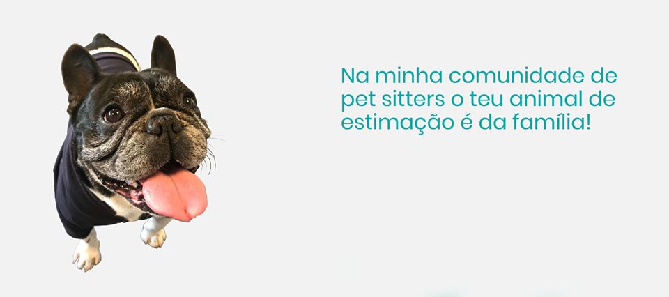 Mikebnb Comunidade de Pet sitting