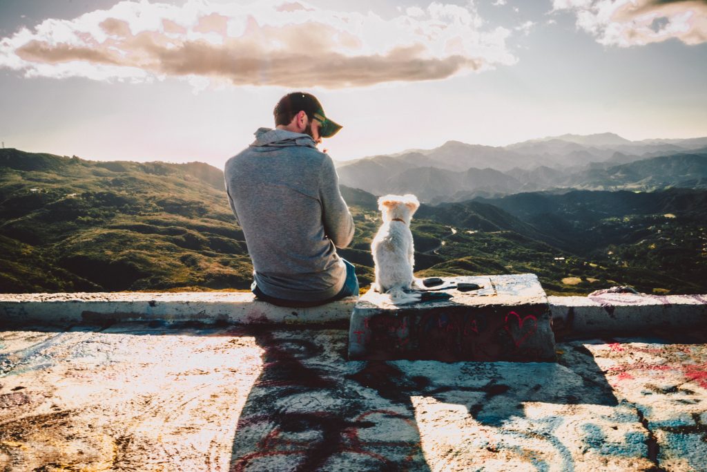 Mikebnb - O que fazer quando o meu cão tem ciúmes?
