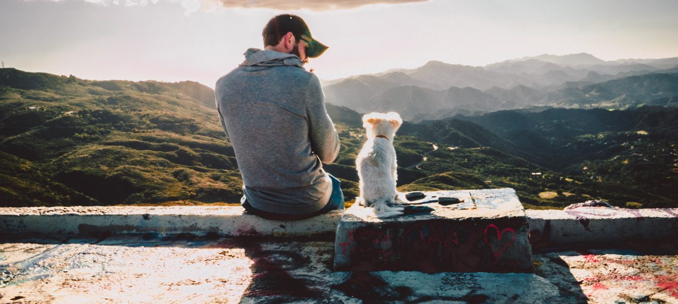 Mikebnb - O que fazer quando o meu cão tem ciúmes?