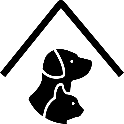 Category