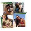 Serviço de petsitting ( estadia e diário)