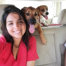 Pet sitter