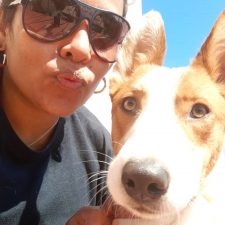 Pet sitter