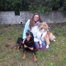 Pet sitter