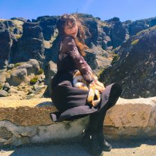 Pet sitter